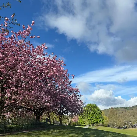 Гостевой дом Denecrest Уиндермир
